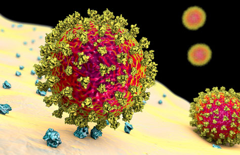 Coronavirus Mutation